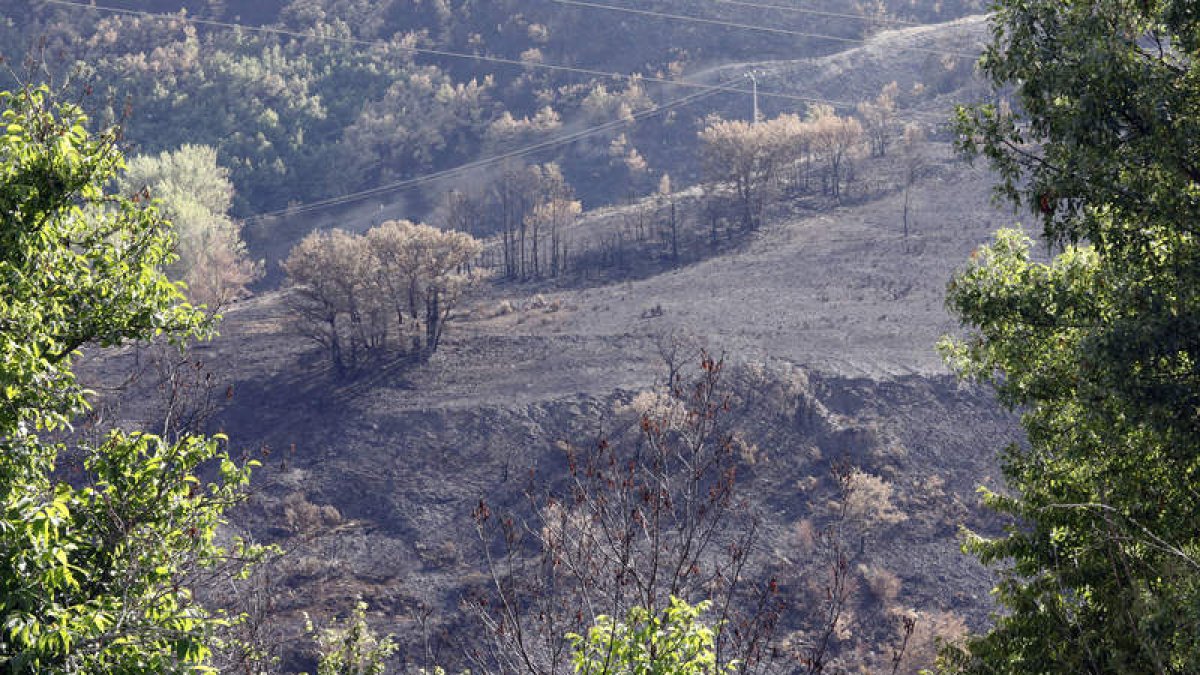 Un devastador incendio quemó diez mil hectáreas en La Cabrera, escenario de los visitas. MARCIANO
