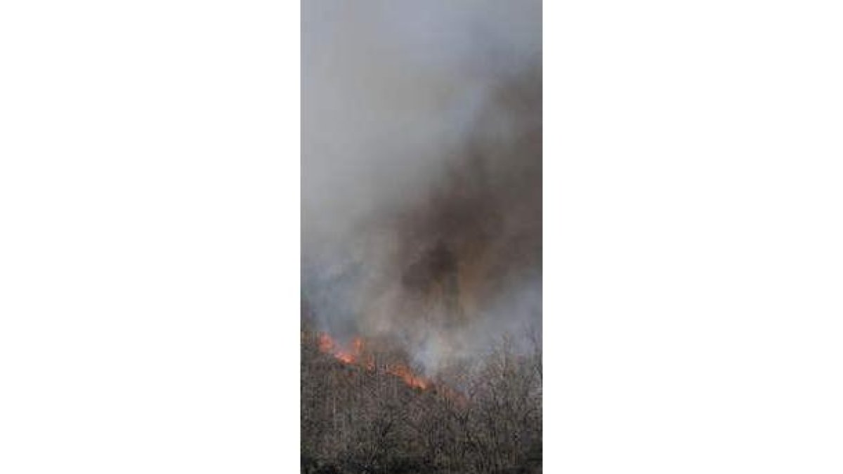 Un incendio de esta primavera en Santovenia del Monte.