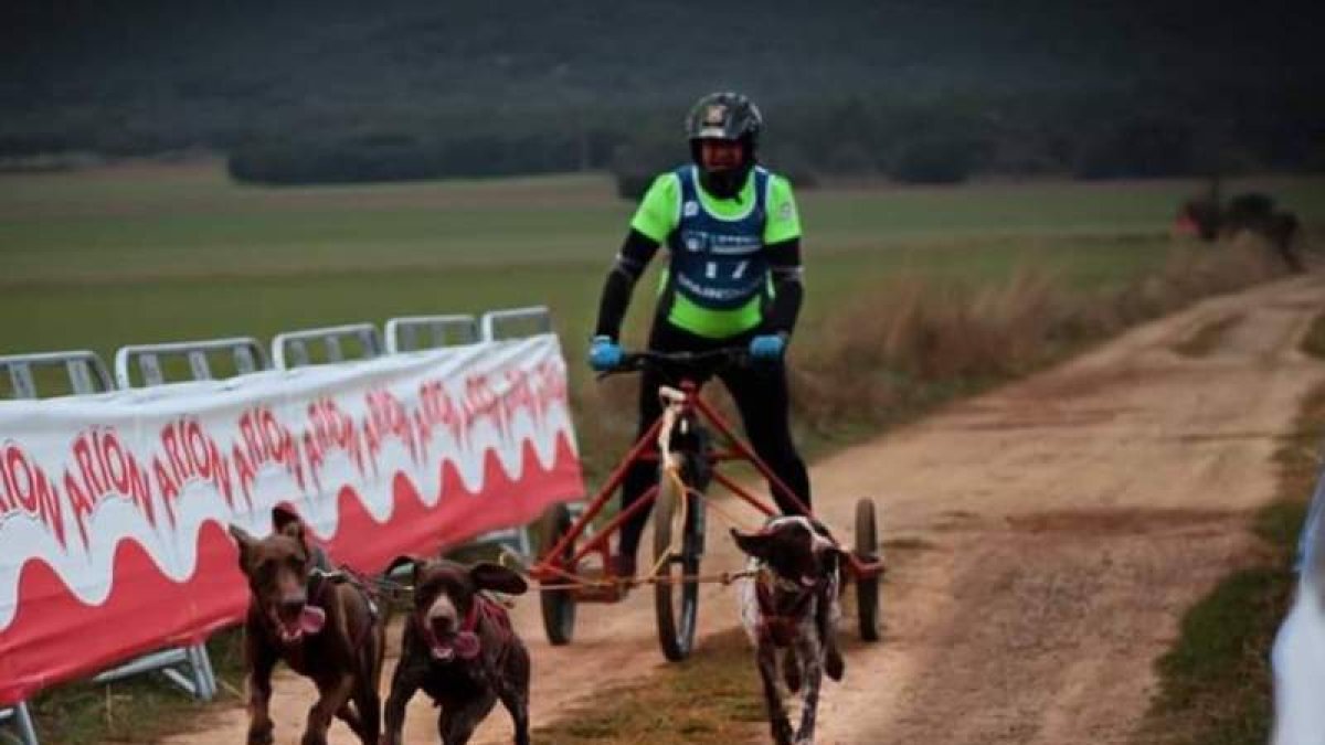 Un momento de la competición celebrada en Olvega. MDECABO