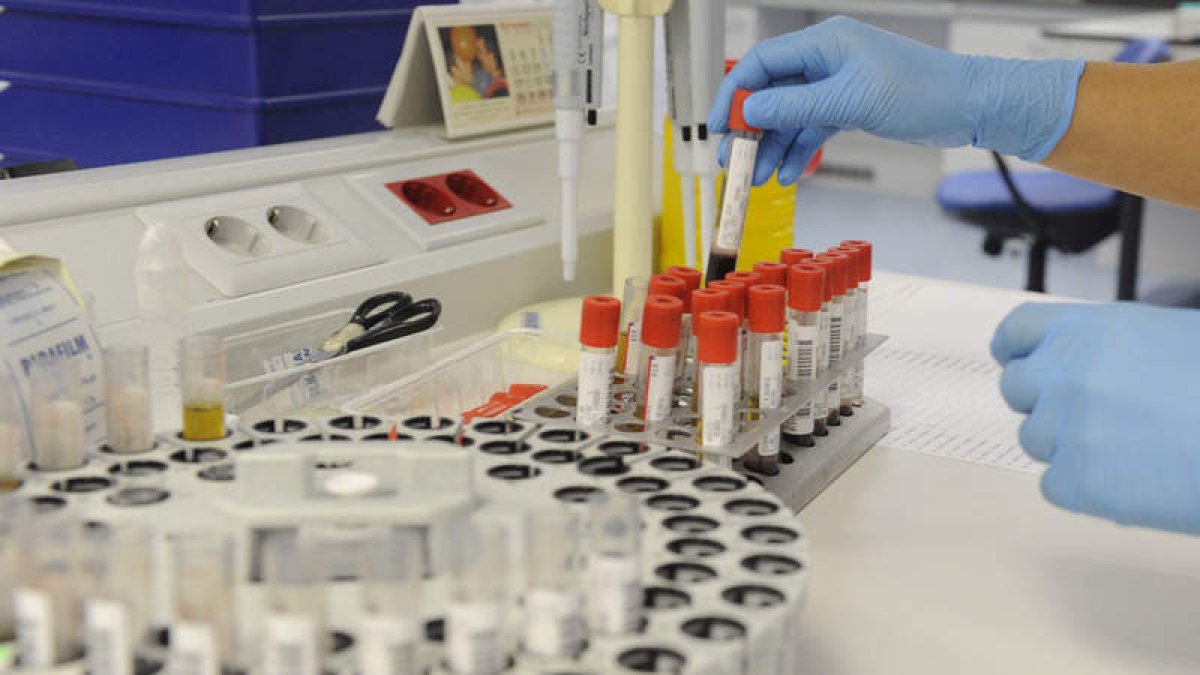 Las pruebas de consejo genético incluyen un test sanguíneo.