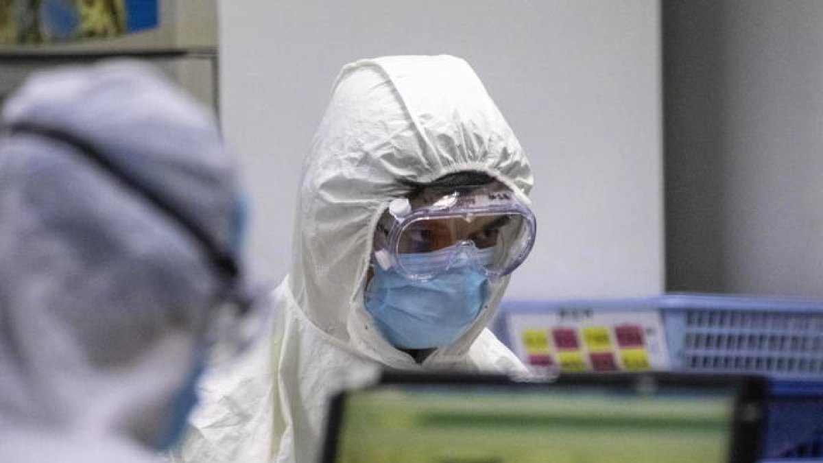 coronavirus