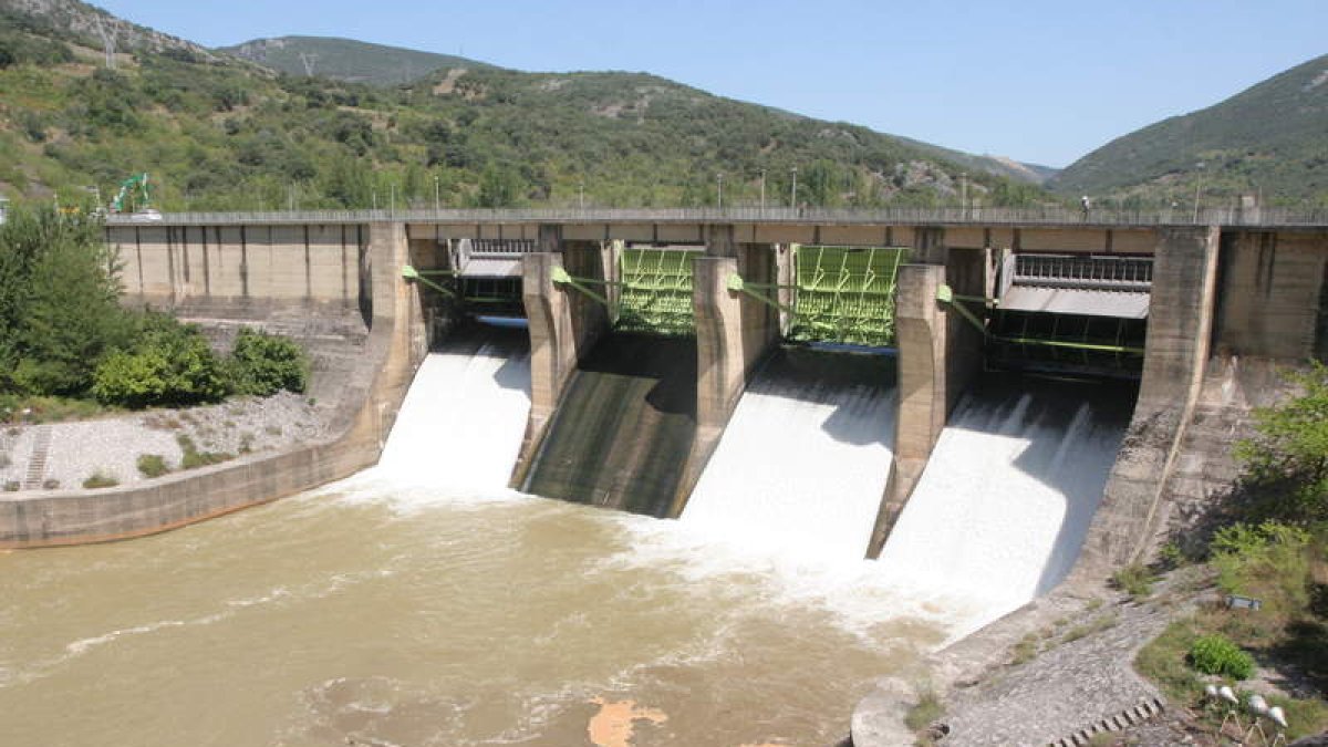 La mayoría de los pantanos carecen de pasos piscícolas. L. DE LA MATA