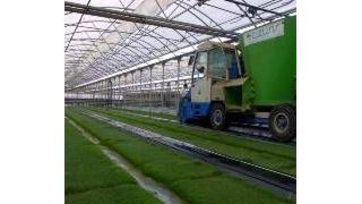 La fábrica de Enervisa se levantó con multimillonarias ayudas públicas