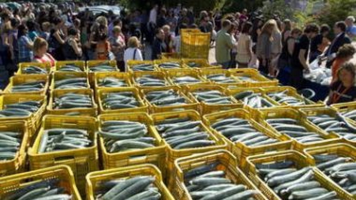 El Salón de Negocios y Turismo Gay en Torremolinos repartió ayer siete toneladas de pepino.