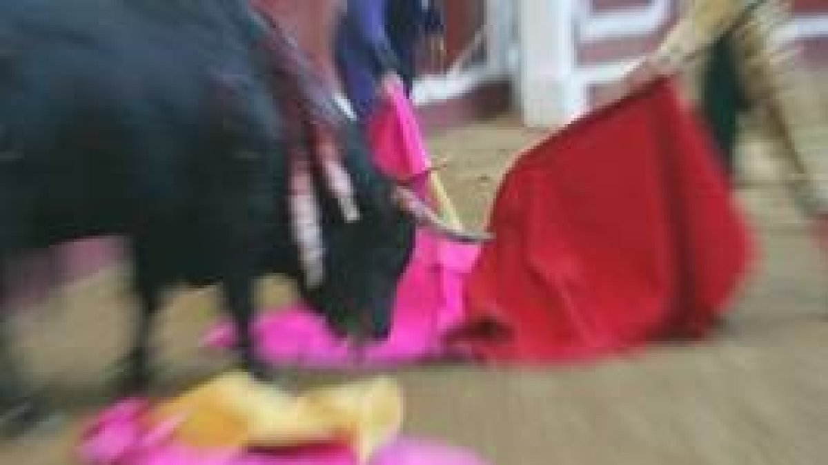 La diversidad genética, una de las grandezas del toro de lidia