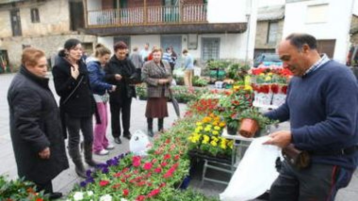 Los puestos de venta de flores animaron ayer la mañana en el pueblo de Almázcara.