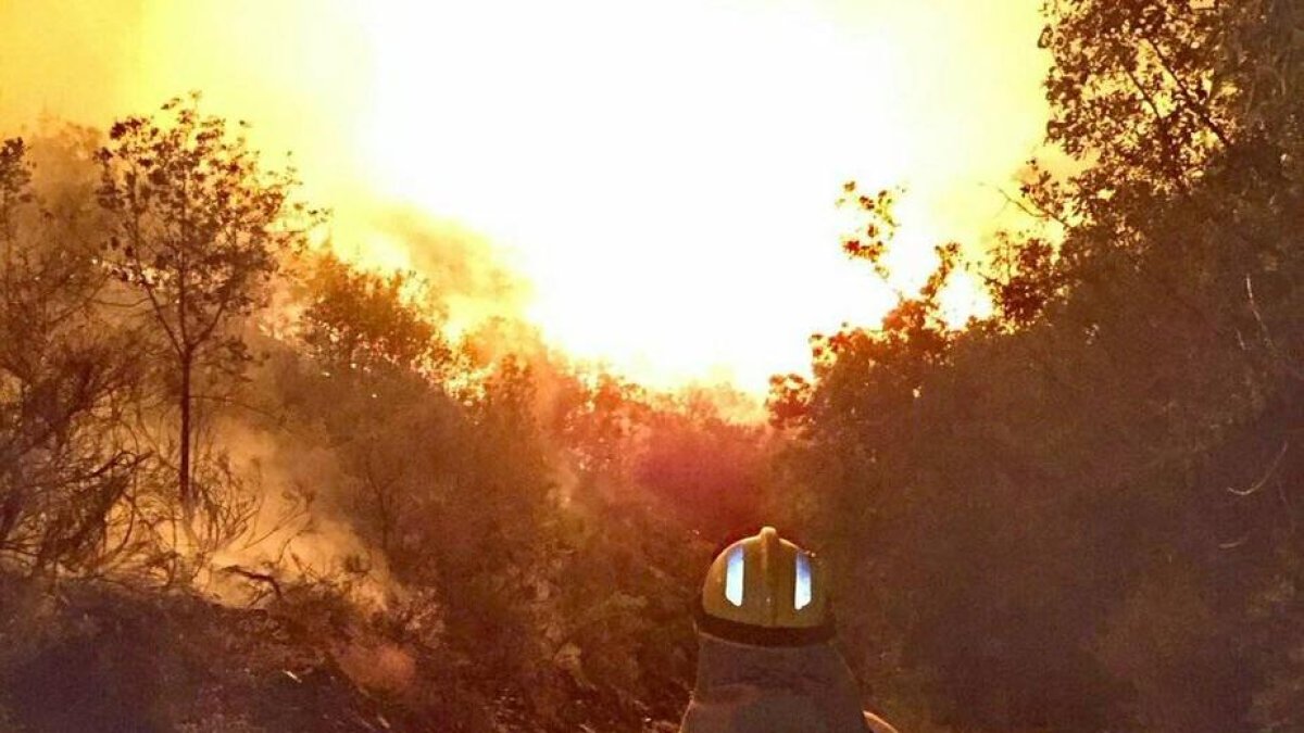 Un brigadista de las Brif ante las llamas en la zona de Losadilla.
