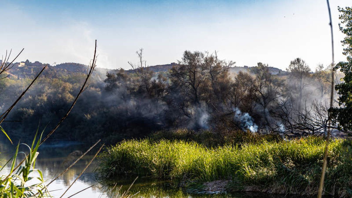 Bomberos de Toledo y medios aéreos del Infocam intervienen en una de las islas del río Tajo. ANGELES VISDOMINE