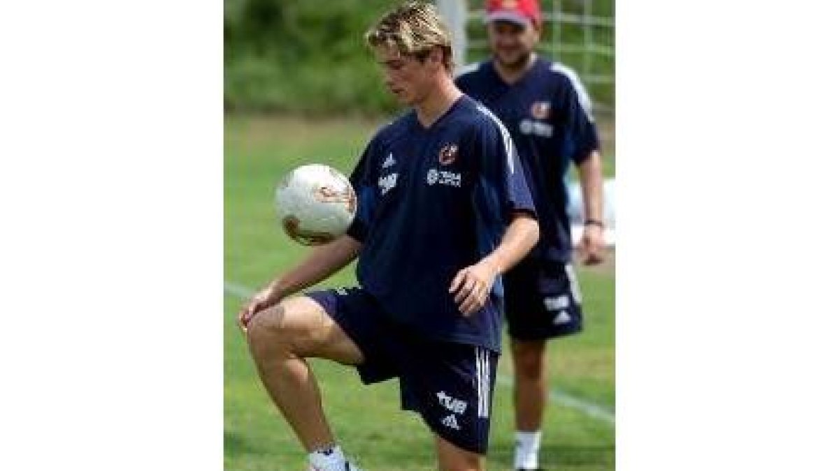 Fernando Torres se ha integrado perfectamente en la selección