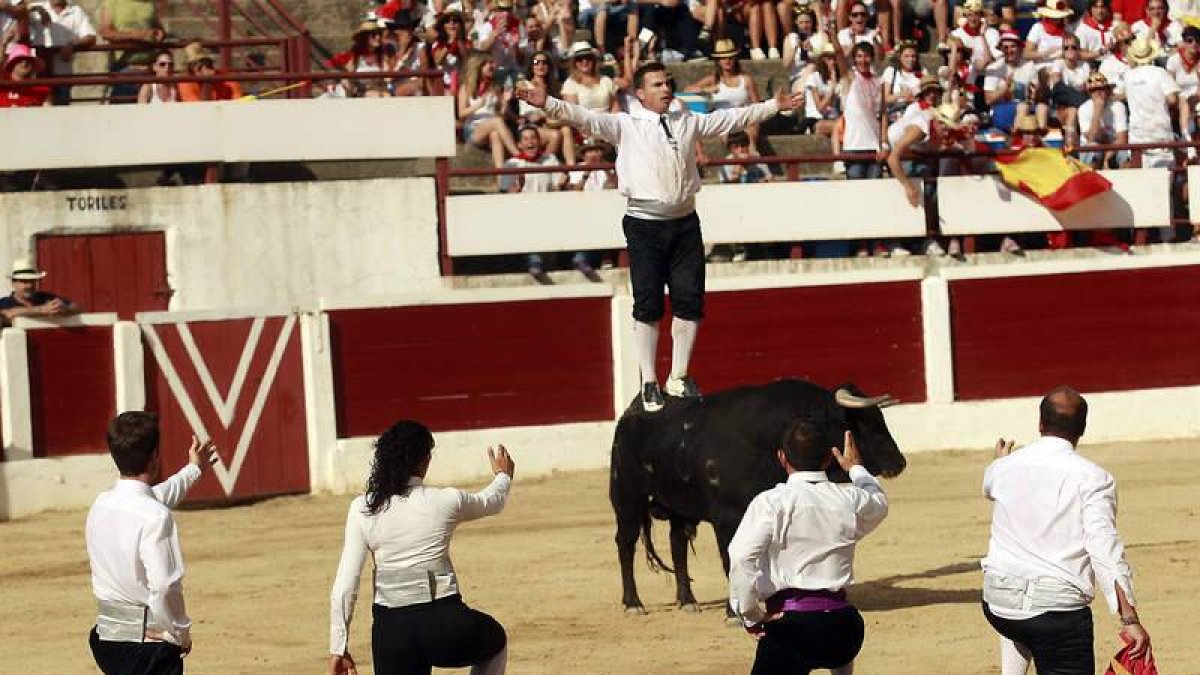 Enfrentarse al toro de rodillas encandila a los tendidos.