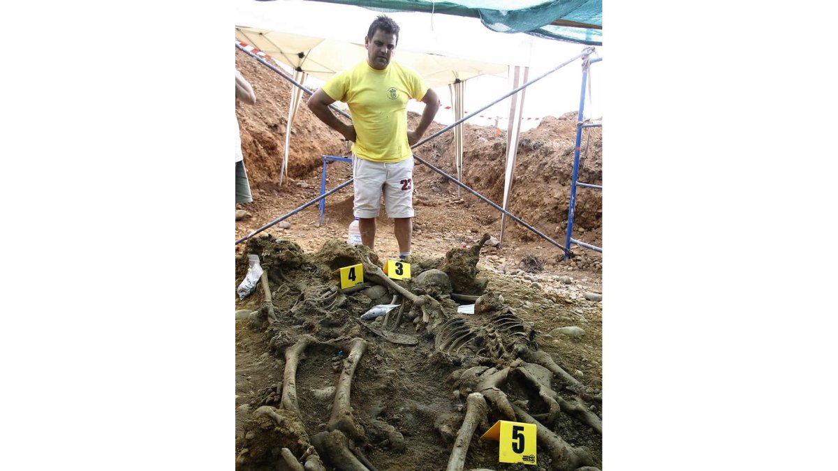 Un voluntario de la ARMH observa los restos de la fosa.