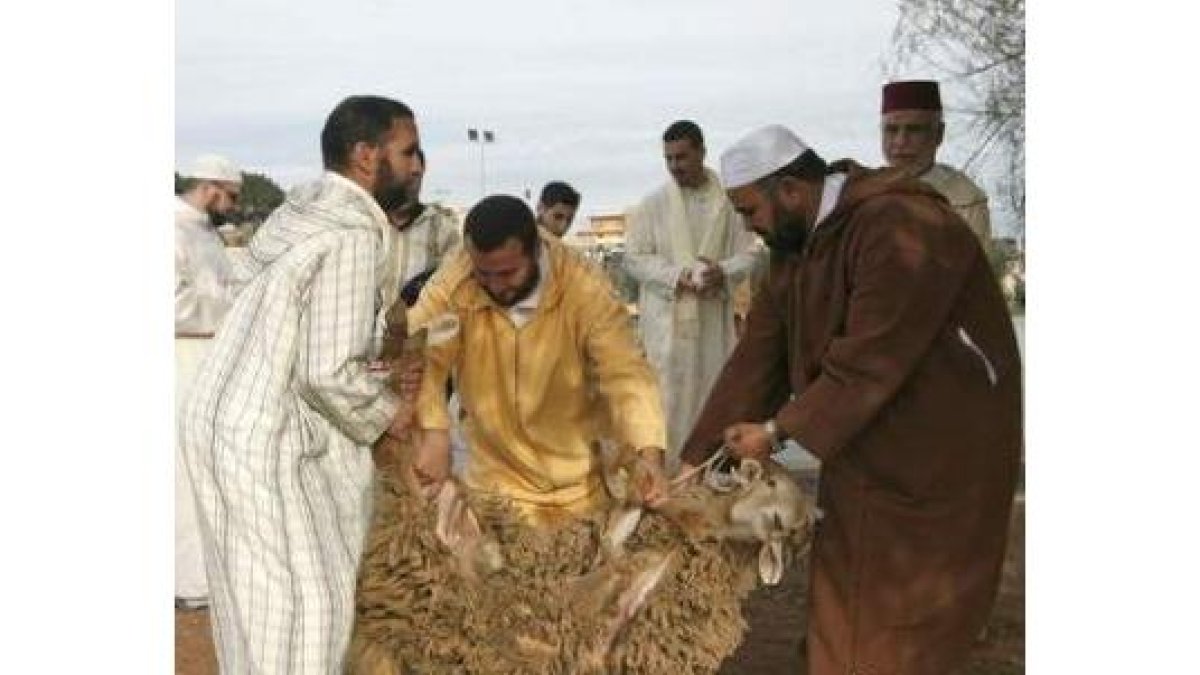 Varios musulmanes sacrificando una oveja.