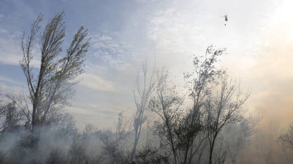 Incendio forestal en Santa Olaja de la Ribera. FERNANDO OTERO
