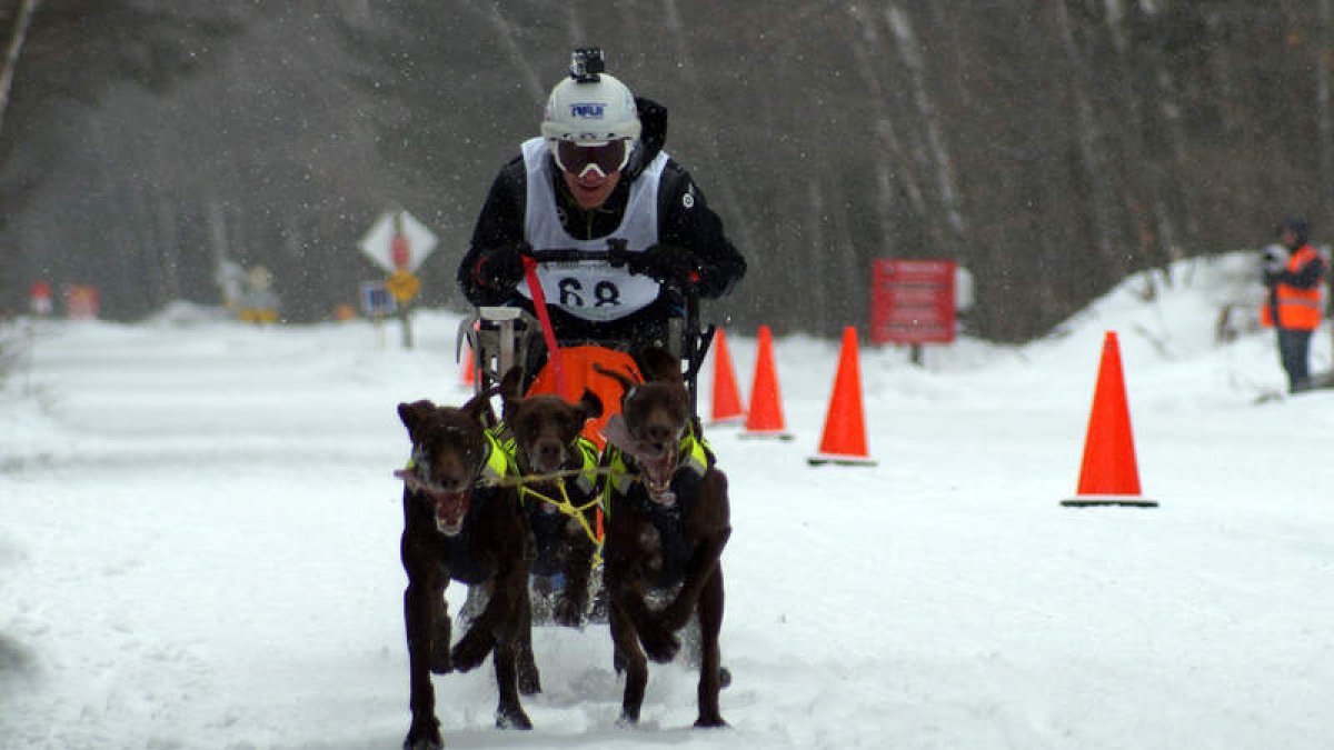 El musher leonés en pleno esfuerzo con sus perros en la primera prueba donde participó en el Mundial de Canadá. DL