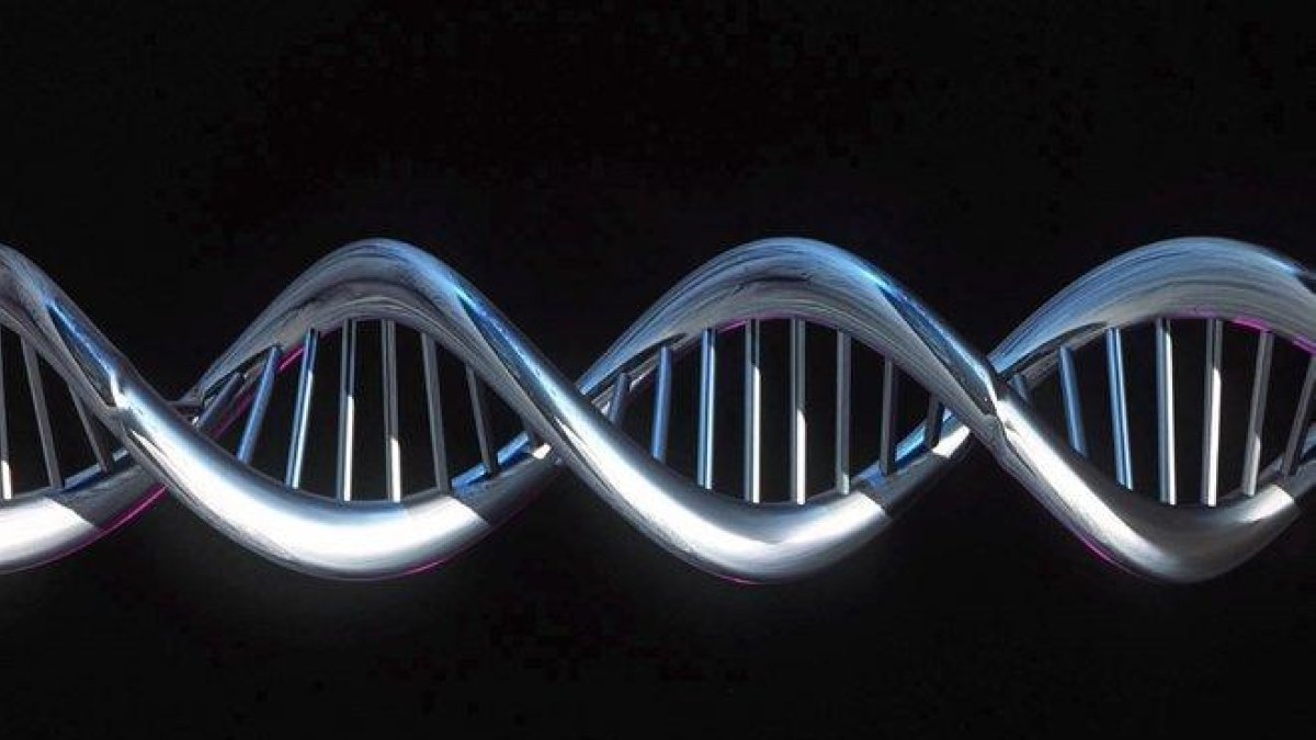 La herramienta está basada en la teoría de gráficas, un modelo matemático abstracto en el que hay nodos conectados por los extremos.