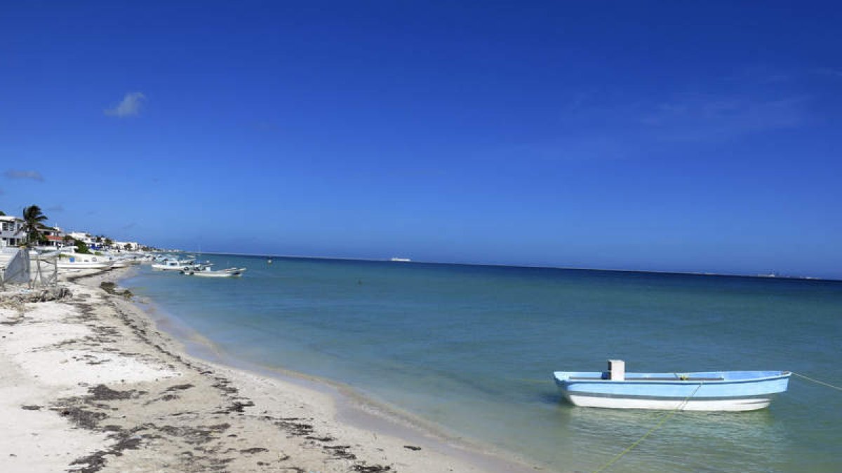 Aguas cristalinas del ‘cráter de la muerte’ en Chicxulub, en la costa mexicana de la península de Yucatán. JOSÉ ANTONIO TORRES