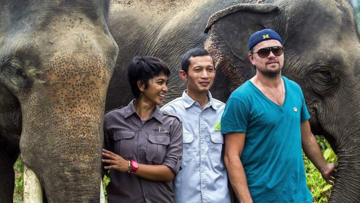 Leuser está situado entre las provincias de Sumatra del Norte y Aceh, y alberga unas 700 especies de animales. P. HILTON