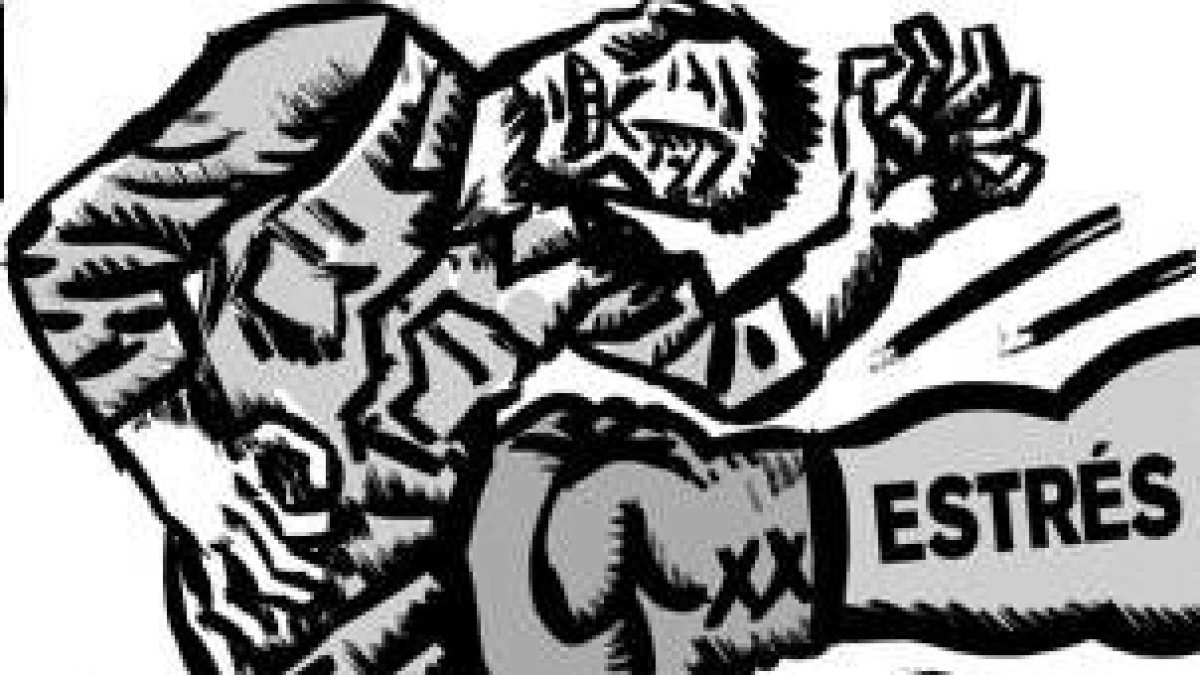 El estrés y los malos hábitos a la hora de comer ocasionan la mayoría de los problemas digestivos