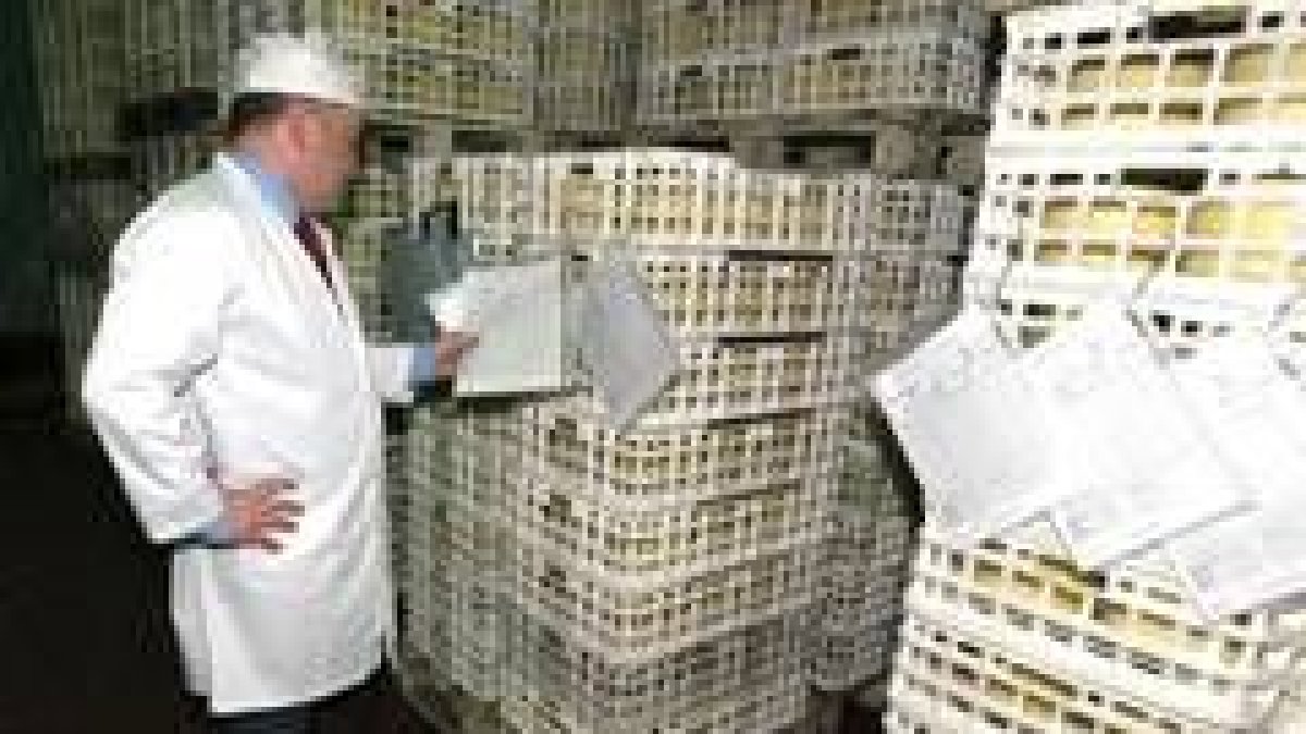La industria de la alimentación es una de las que más inversión extranjera tiene en la provincia