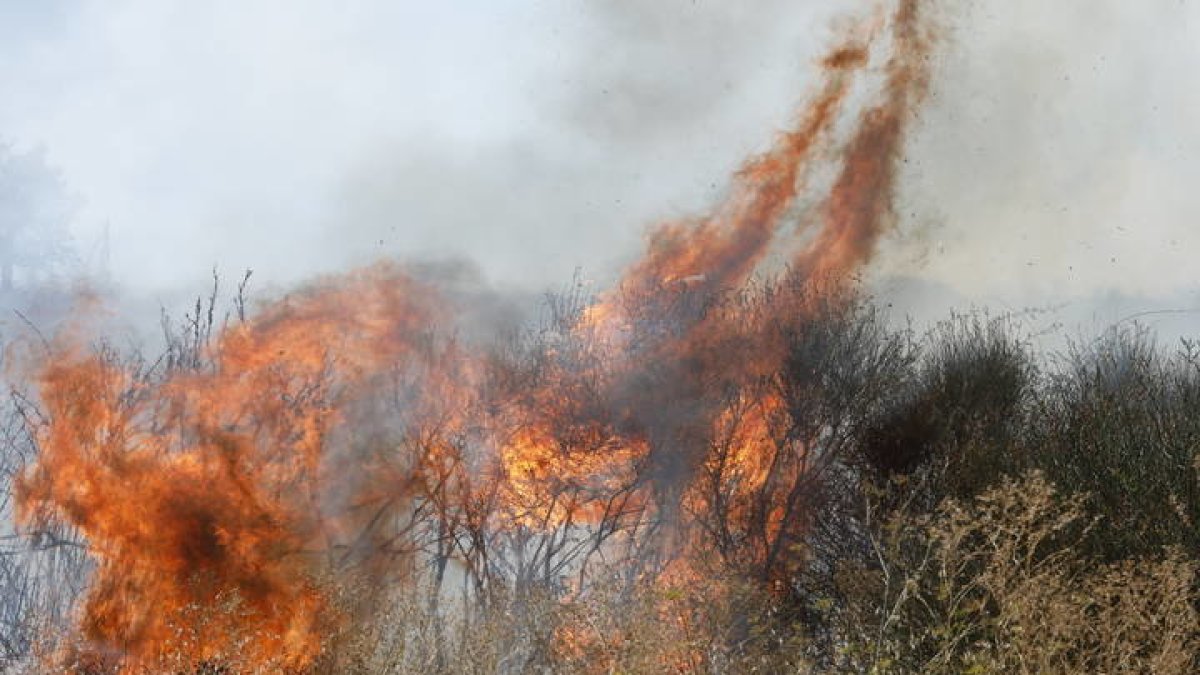 Un incendio de matorrales y monte bajo se origina en los terrenos situados una vez pasado el polígono industrial de león, en Onzonilla. MARCIANO PÉREZ