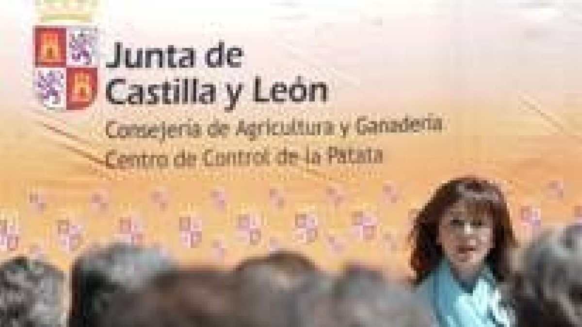 Silvia Clemente ayer, en un acto institucional de su consejería