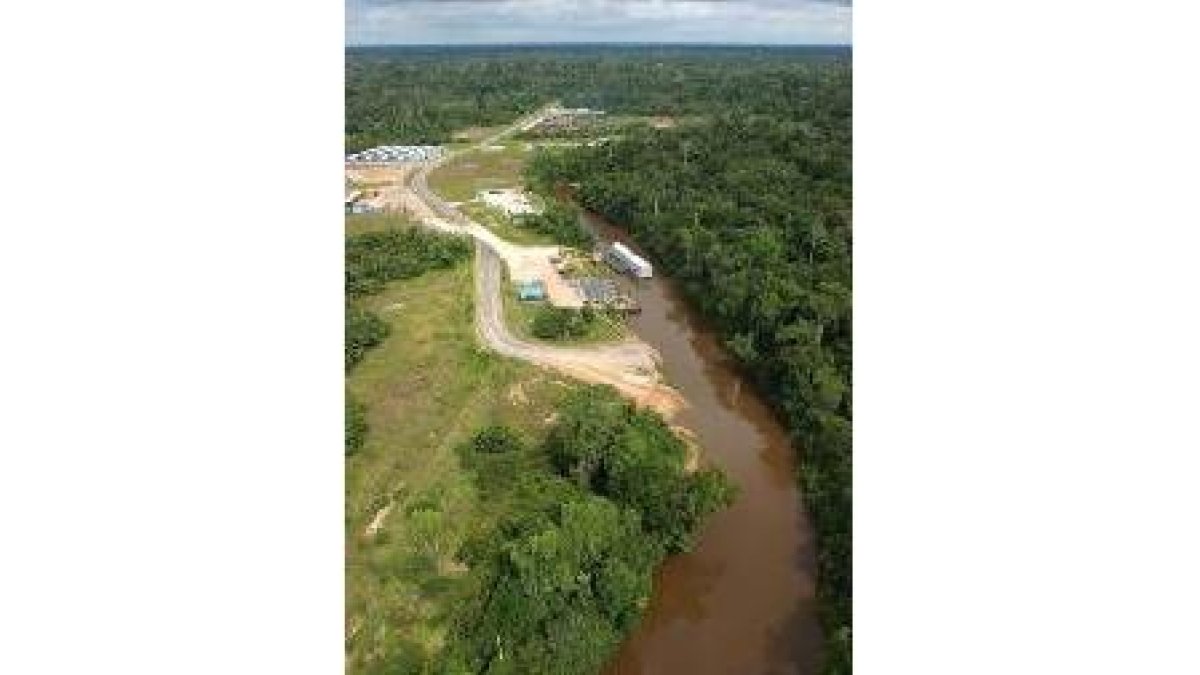 Deforestación brutal del Amazonas con la tala indiscriminada de árboles