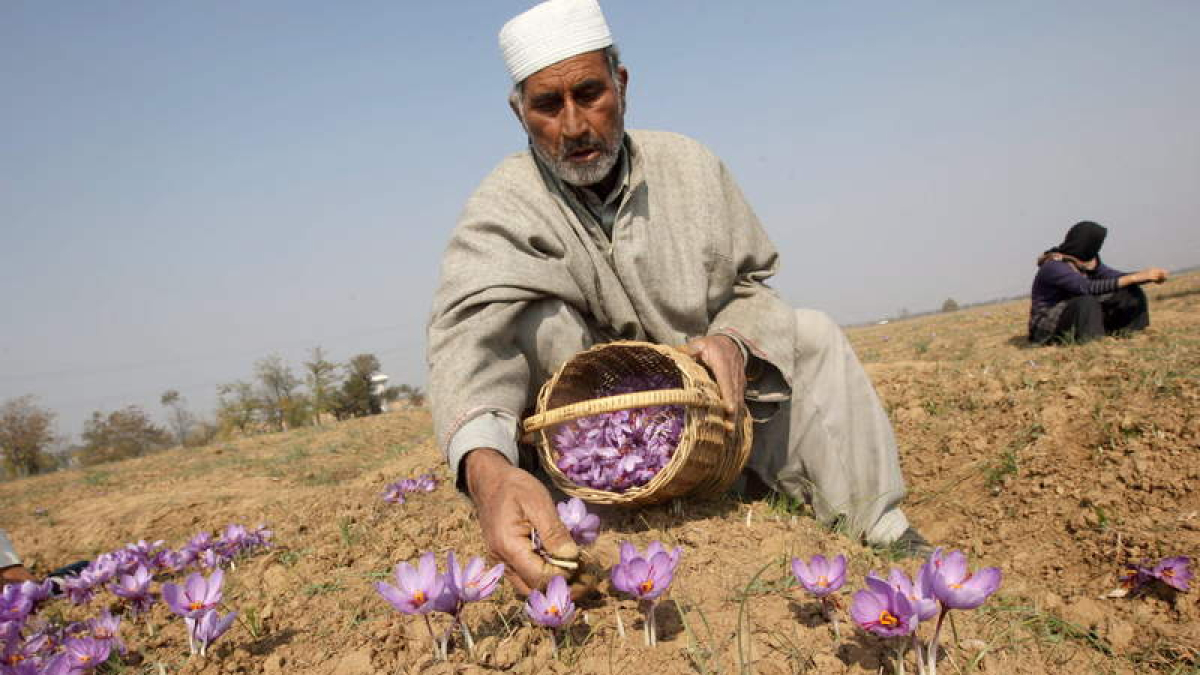 EFE/EPA/FAROOQ KHAN