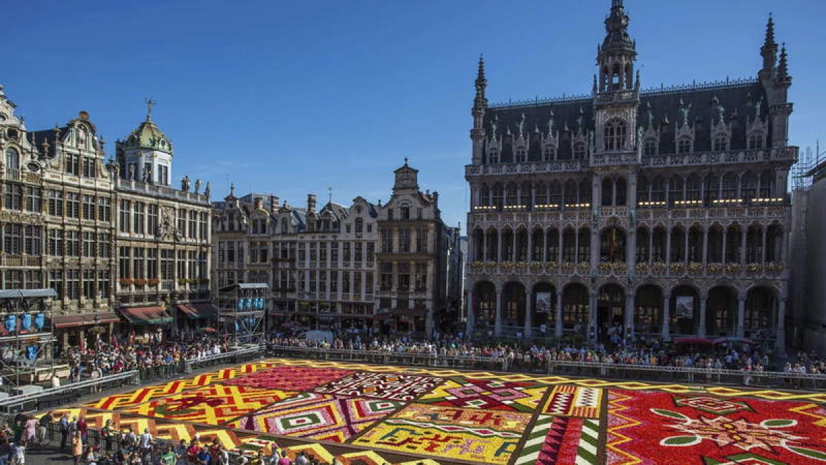 Vista general de una alfombra de flores que cubre la Grand Place de Bruselas (Bélgica).