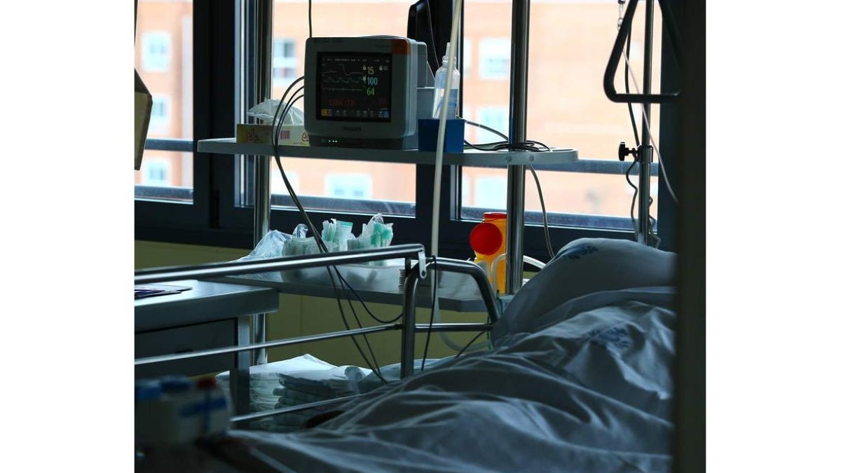 La resistencia de las bacterias es un grave problema para los sistemas de salud. ramiro