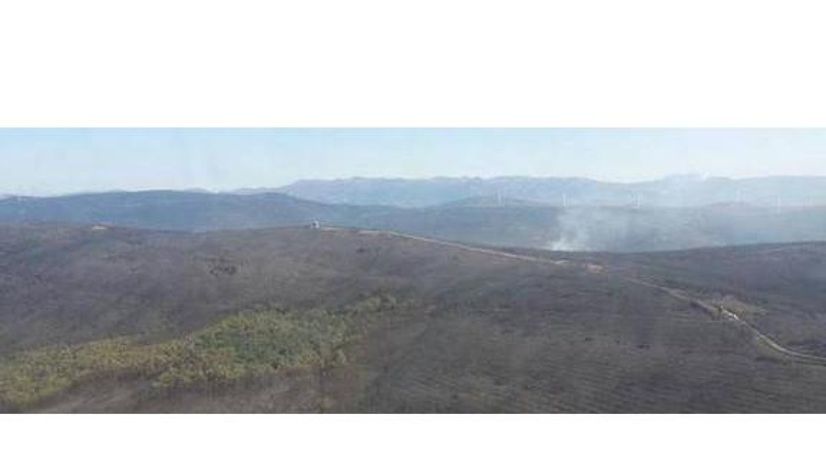 Estado en el que ha quedado el bosque, arrasado por el incendio