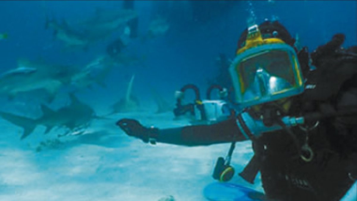 Jesús Calleja, buceando junto a tiburones limón.