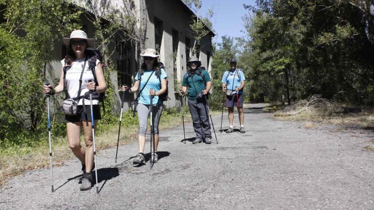 Varios peregrinos realizan la ruta a su paso por Vegamediana. CAMPOS
