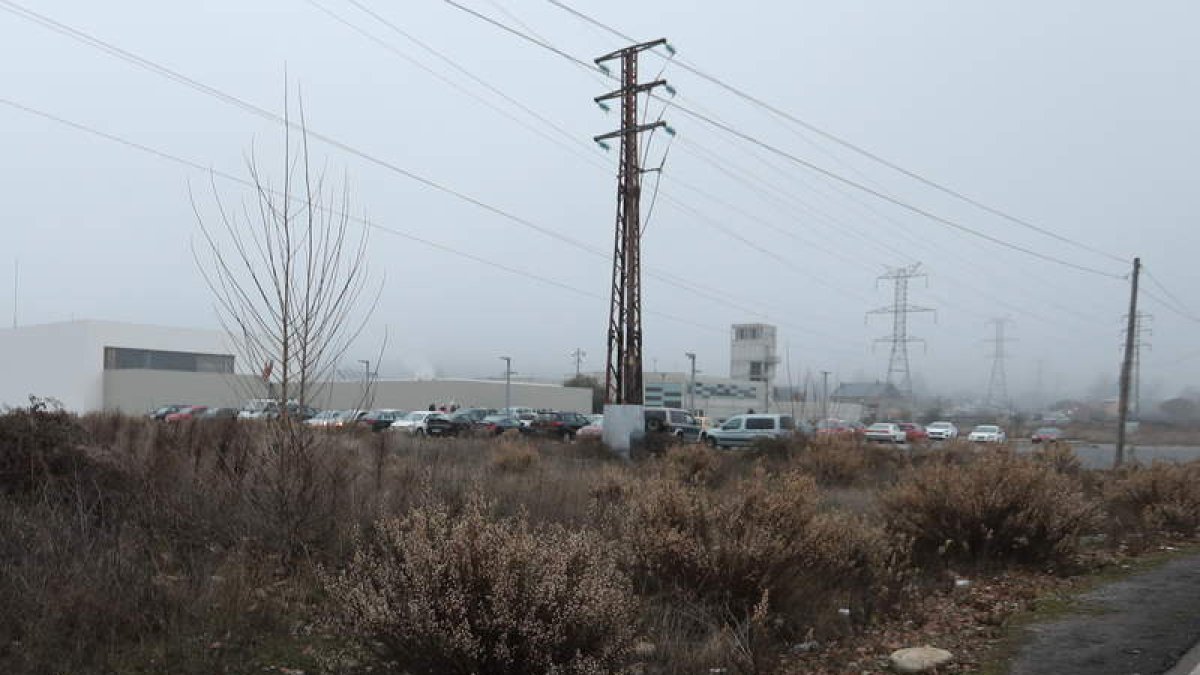 Terrenos en los que se prevé instalar la planta de biomasa. L. DE LA MATA