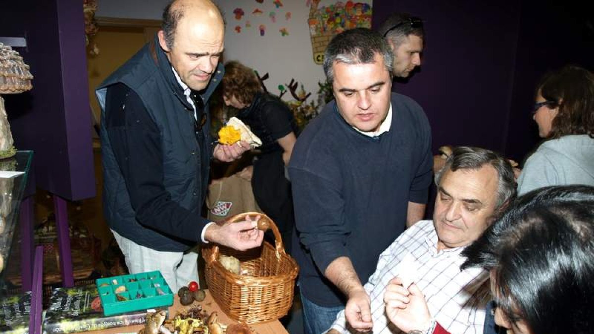 Juan Antonio Sánchez se encargó de clasificar las setas recolectadas.