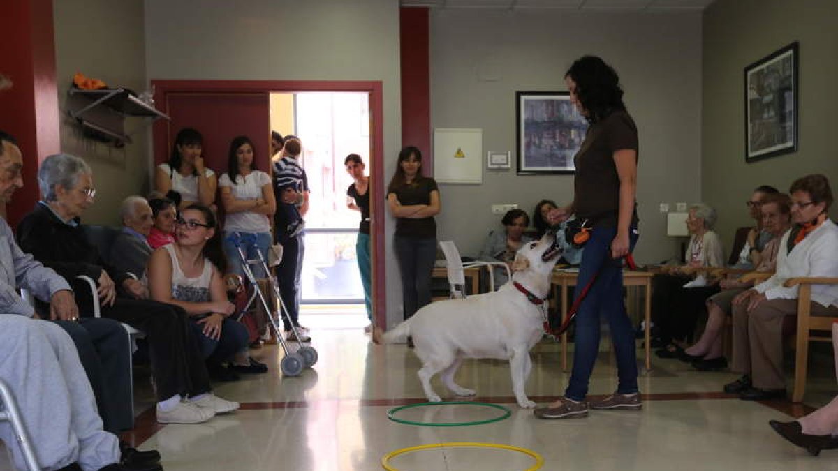 Terapia canina realizada por Rebican este fin de semana en Ponferrada.