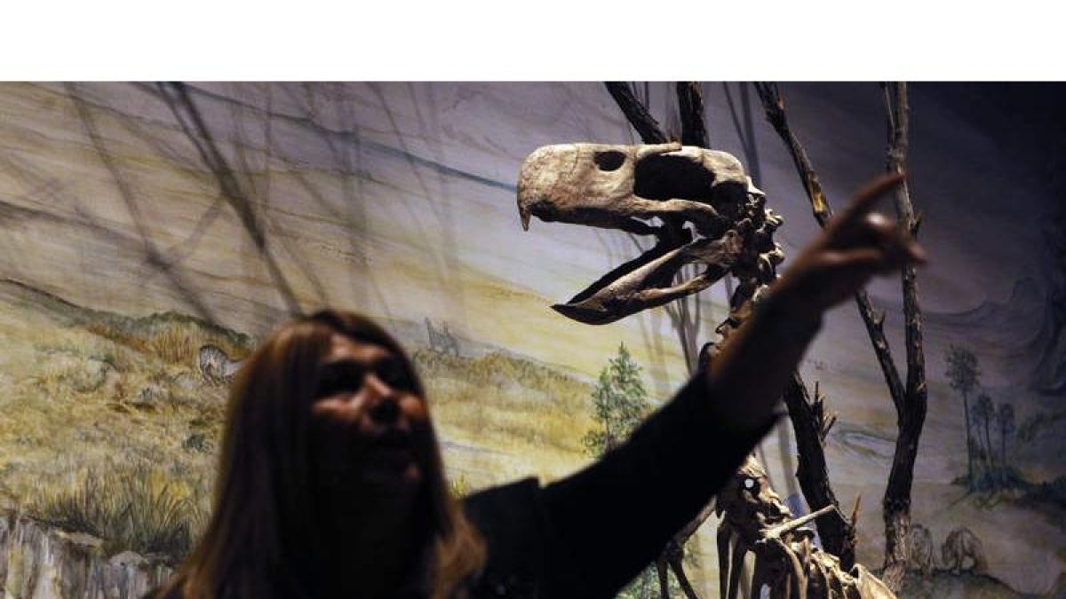 Imagen del fósil del titanosaurio, el dinosaurio más grande del mundo. ALBERTO ORTIZ
