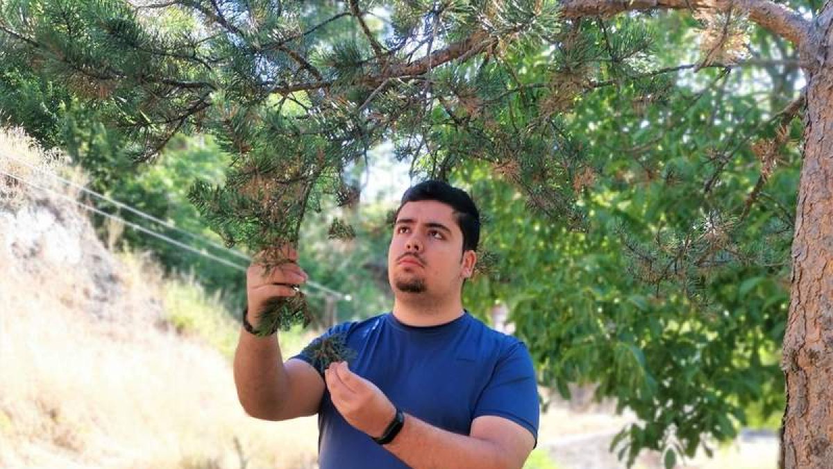 Daniel Escapa García desarrolla un proyecto sobre las plantas olvidadas en el valle de Sabero. DL