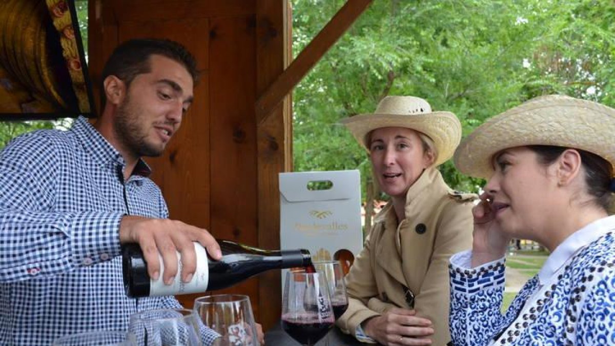 Blancos, rosados o tintos,excelentes vinos en la Feria de Valencia de Don Juan