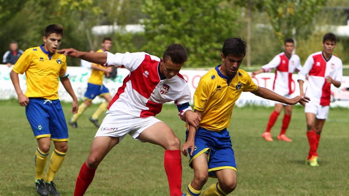 El equipo arlequinado sumó un punto de oro frente a un rival directo.