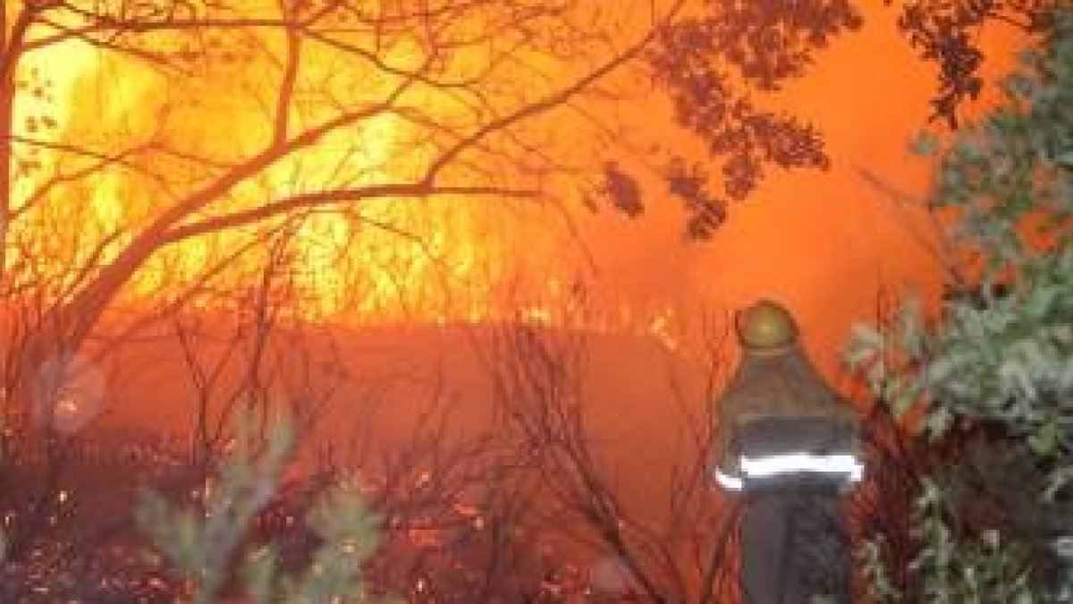 Un trabajador de montes ante las llamas de uno de los incendios de las últimas semanas en León