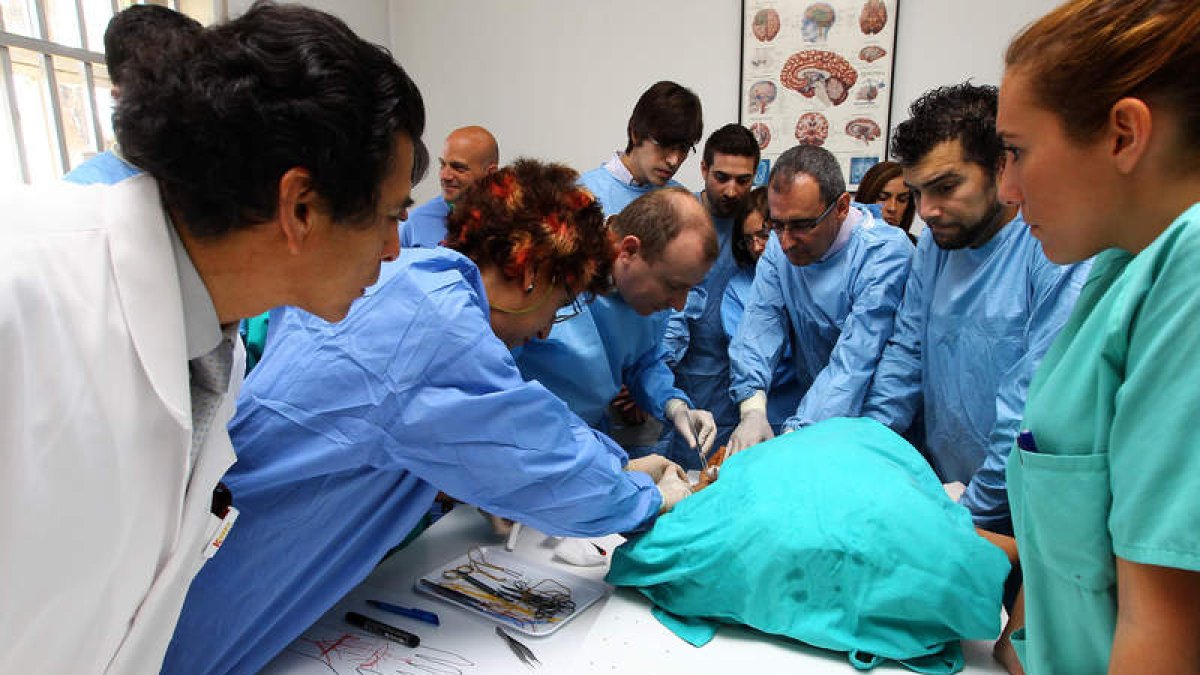 Uno de los cursos de cirugía de nervios periféricos organizados en el Hospital de León.