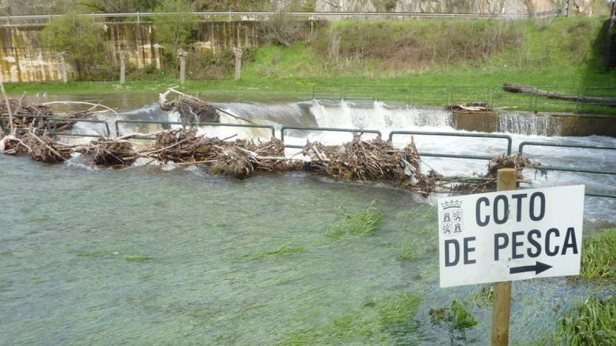 Los cotos de pesca se podrán solicitar desde mañana sábado.
