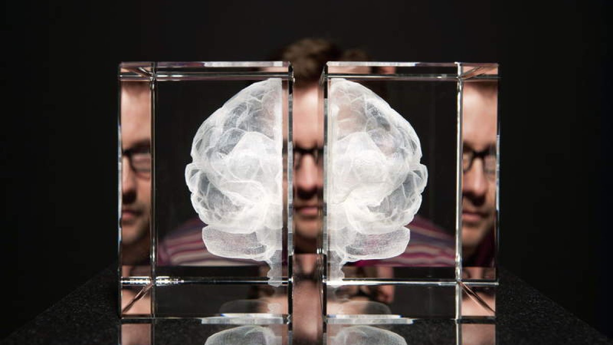 El problema no es lo que piensan los robots, sino que los humanos no piensan.