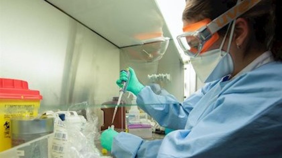 ¿Un fármaco esperanzador contra el coronavirus?