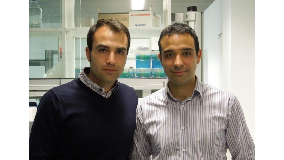 Alberto Acedo y Adrián Ferrero en su laboratorio.