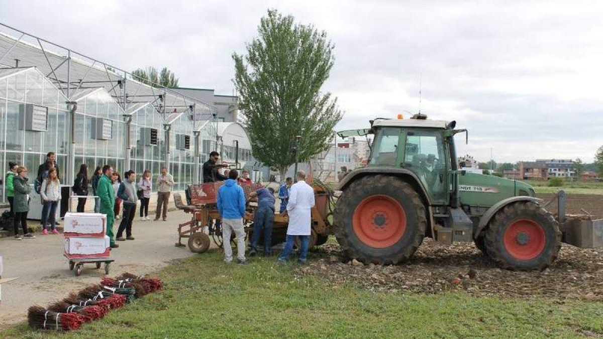 Prácticas de los alumnos de la escuela de la Universidad de León en las instalaciones en la avenida de Portugal. DL