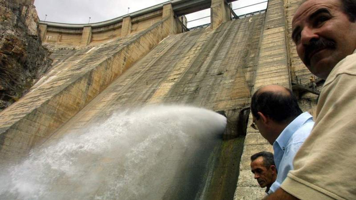 DL31P16F1-18-26-43-0