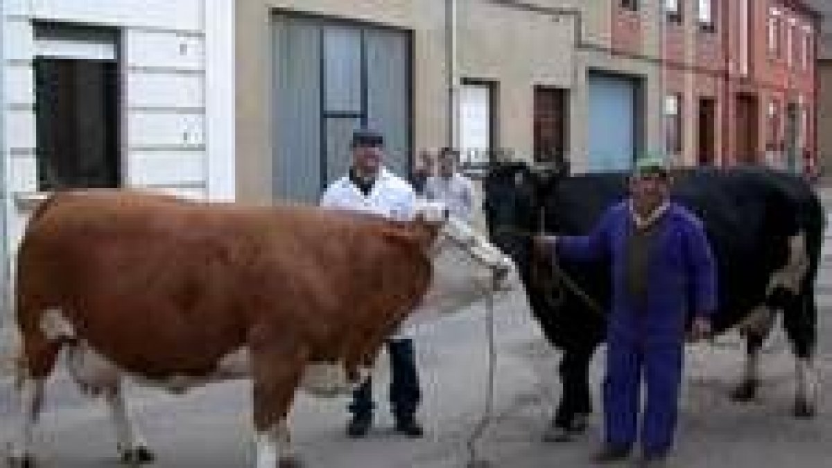 Los dos ejemplares objeto de la venta, junto a sus propietarios