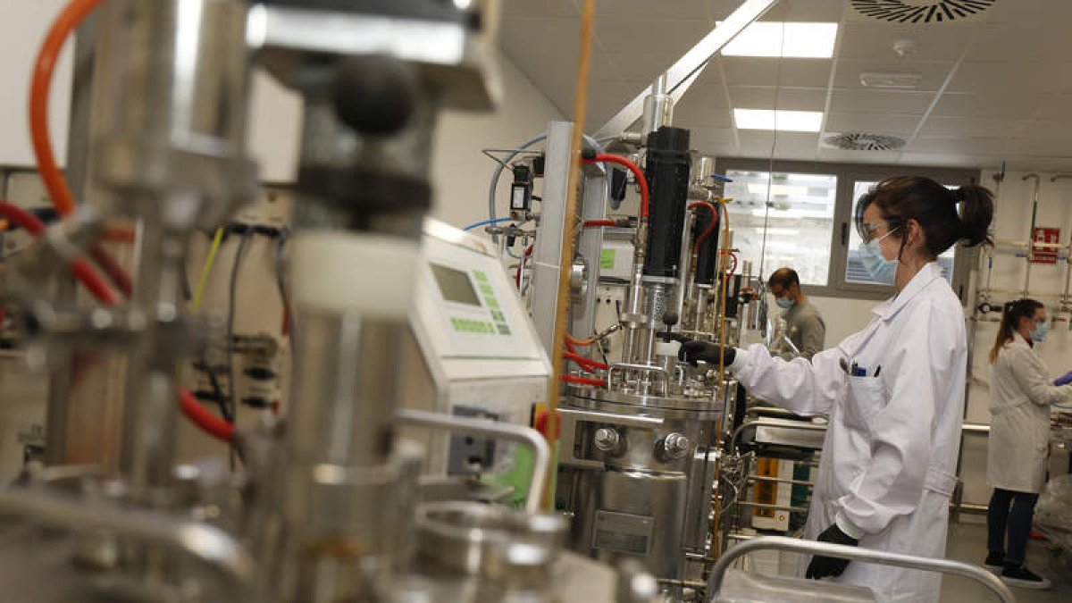 El nuevo laboratorio aumenta la capacidad de investigación de la planta leonesa. FERNANDO OTERO