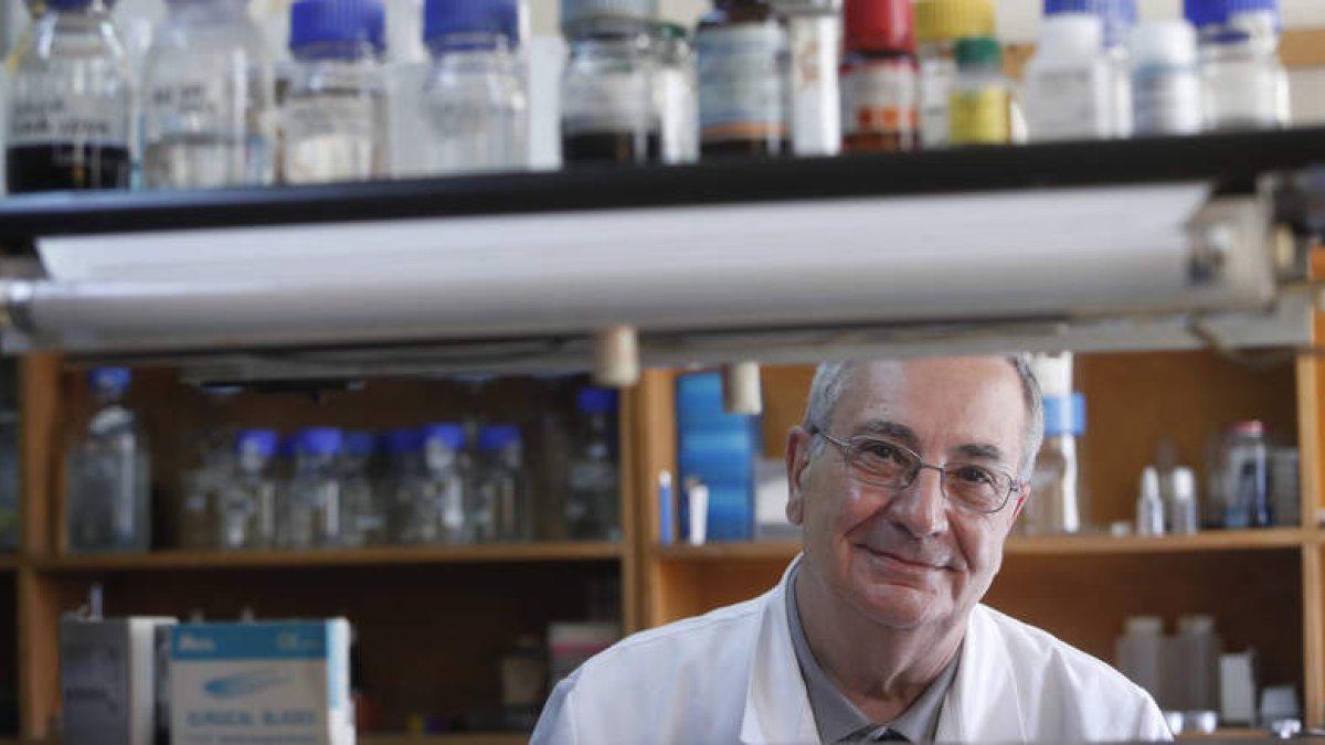 Elías Ferri es el presidente de la Academia de Ciencias Veterinarias de Castilla y León. JESÚS F. SALVADORES